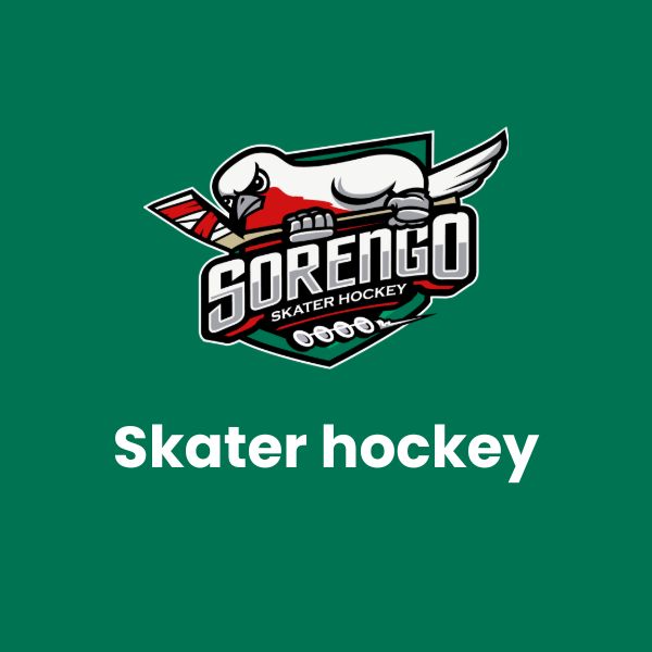 Skater hockey